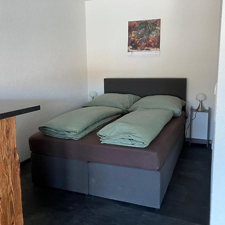 Jenszu Ferienwohnung Balingen Eksteriør billede